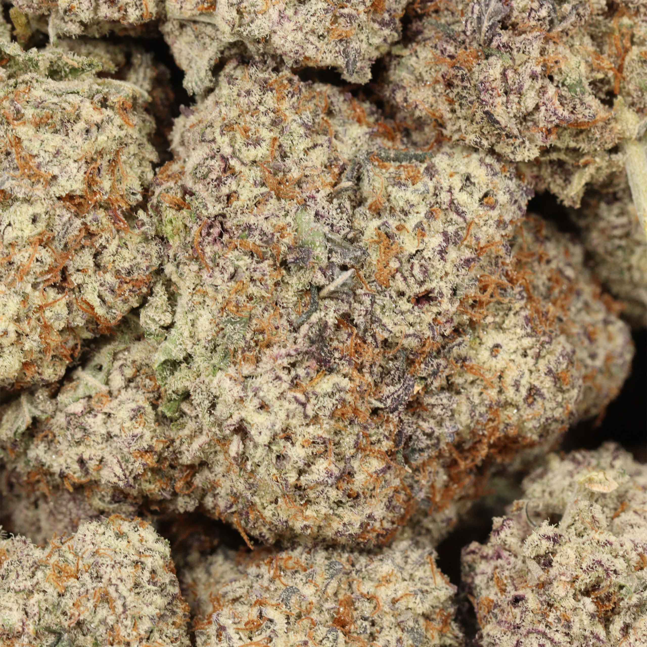 Ace Killer OG - Image 2