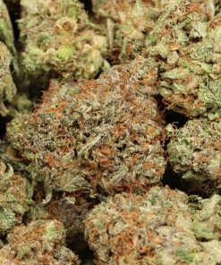 Alternative view of Afghani Death Bubba