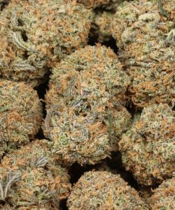 Alternative view of Afghani Kush