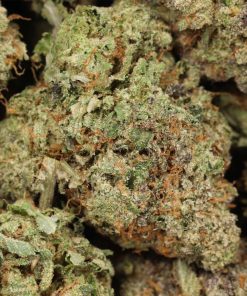 Alternative view of Ahi Tuna Kush