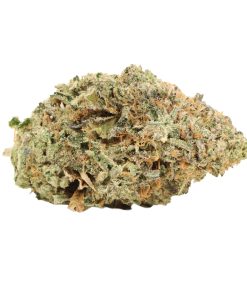 Ahi Tuna Kush AAAA+ Indica