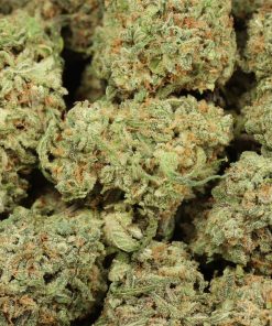 Alternative view of Astro Pink Kush