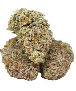 Atomic Blueberry Cannabis Strain