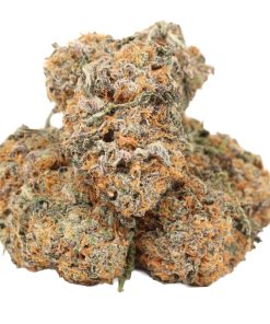 Alternative view of Banana Kush