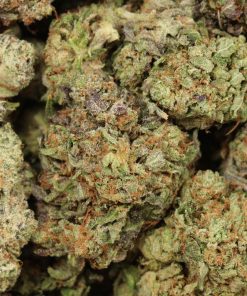 Alternative view of BC Pink Kush