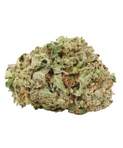BC Pink Kush Cannabis Strain