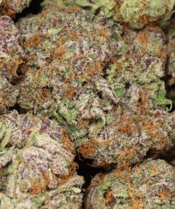 Alternative view of Black Cherry OG