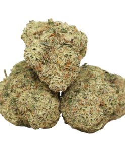 Black Kush Cannabis Strain