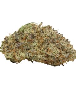 Black Tuna Cannabis Strain