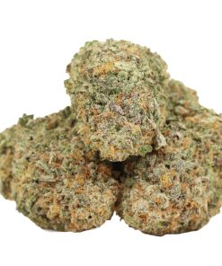 Alternative view of Chemo Kush
