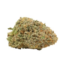 Caviar Pink Kush Cannabis Strain