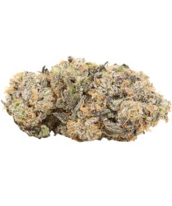 Gorilla Frost Cannabis Strain
