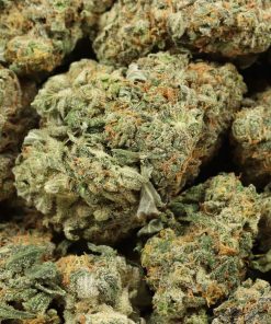 Alternative view of Gorilla Zkittles
