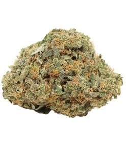 Gorilla Zkittlez Online