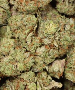 Alternative view of Hydro Pink Kush