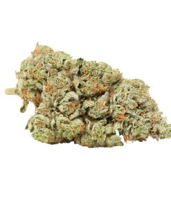 Hydro Pink Kush Online