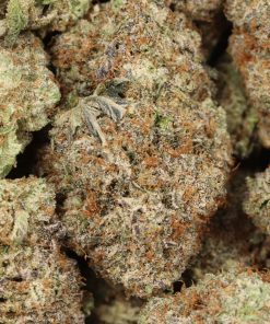 Alternative view of Khalifa Kush