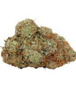 King Louis XIII Online