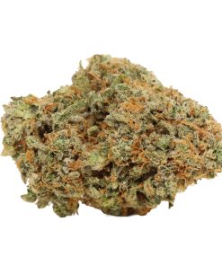 Master OG Online