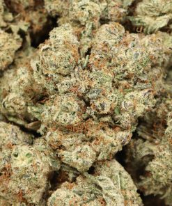 Alternative view of MK Ultra