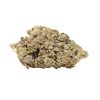 Northern Lights Online