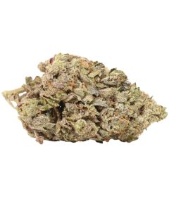 Northern Lights Online