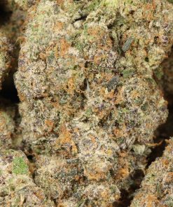Alternative view of Pine Tar Kush