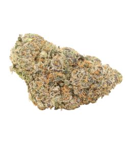 Pine Tar Kush