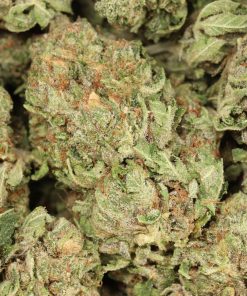 Alternative view of Pink Gas