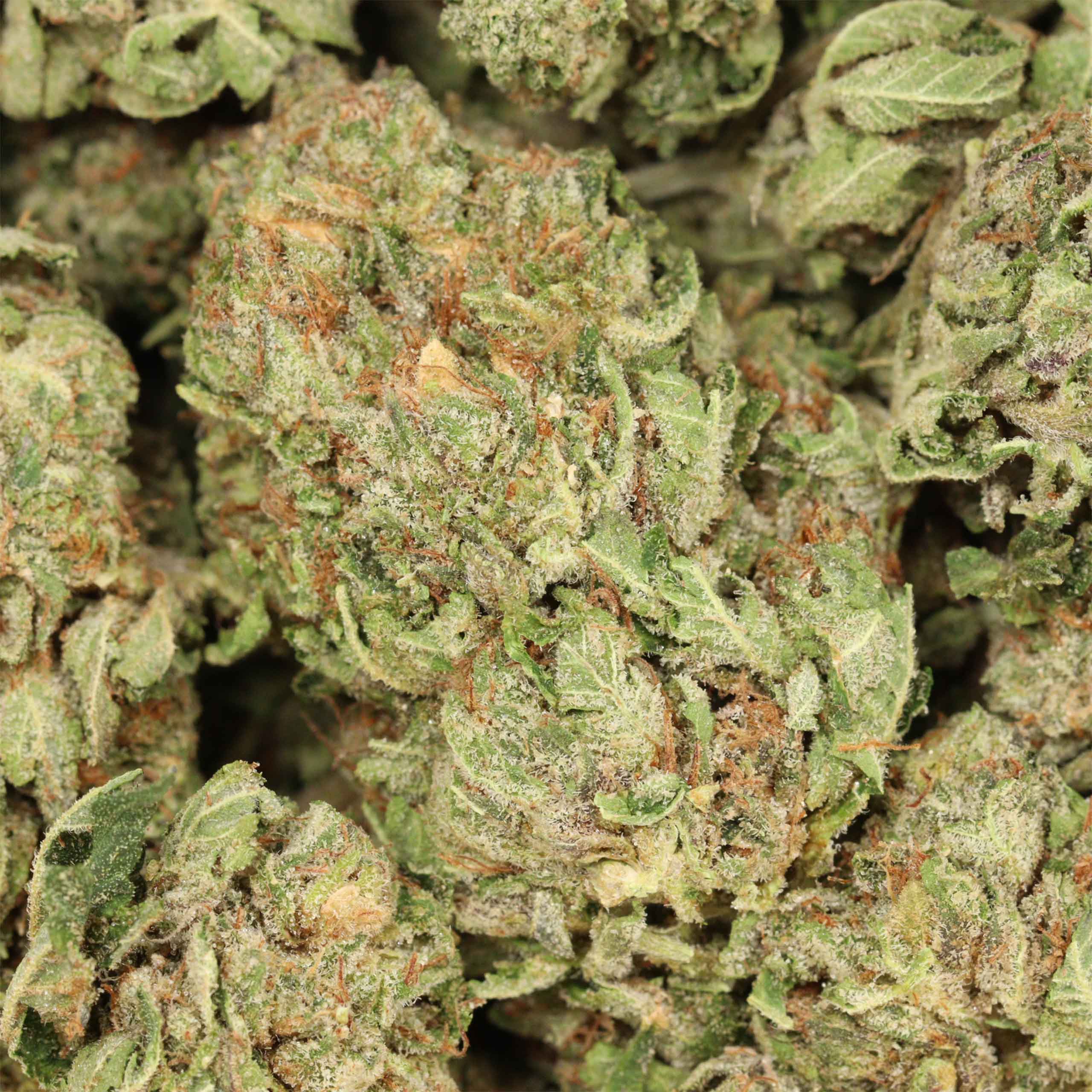 Pink Gas - Image 2