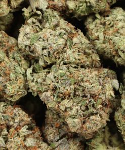 Alternative view of Presidential Pink Kush