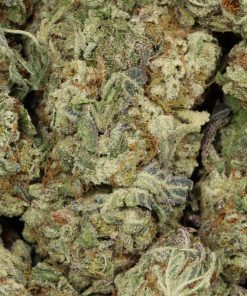 Alternative view of Starbud