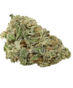 Starbud Cannabis Strain
