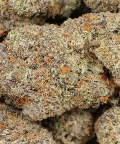 Alternative view of GrandDaddy Death