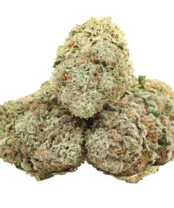 Alternative view of Pink Muerte