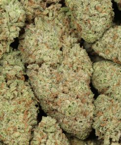 Alternative view of Lemon Skunk