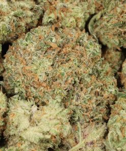 Alternative view of Sunset Sherbert