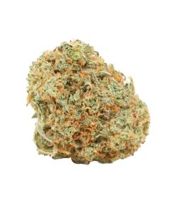Sunset Sherbert Online