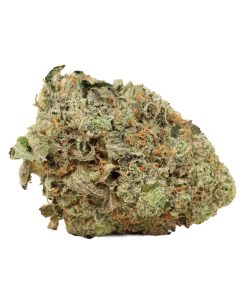 Tuna Kush Craft Online