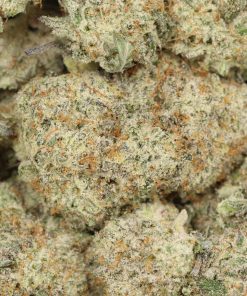 Alternative view of Tuna OG
