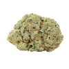 Zombie Kush Online