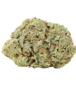 Zombie Kush Online