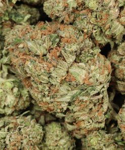 Alternative view of Ultra Pink