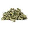 Alaskan Thunder Fuck (AA) Sativa