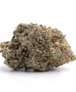 Donkey Butter AAA+ Online
