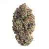 Galactic Warheadz Online