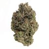 Gas Mask Online