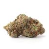 Gas Mask Online