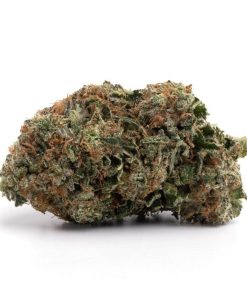 Hindu Kush (AAA+)