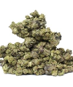 Lamb’s Breath Smalls Online